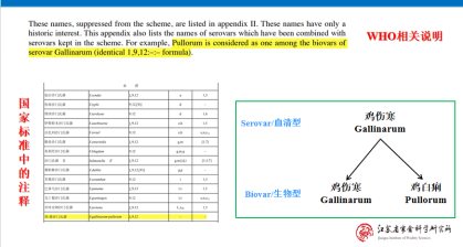 1767576808130360.png image.png