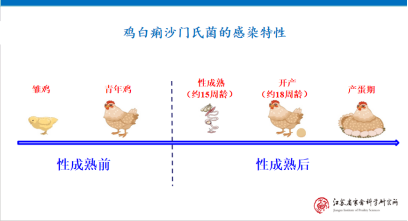 1767576822101090.png image.png