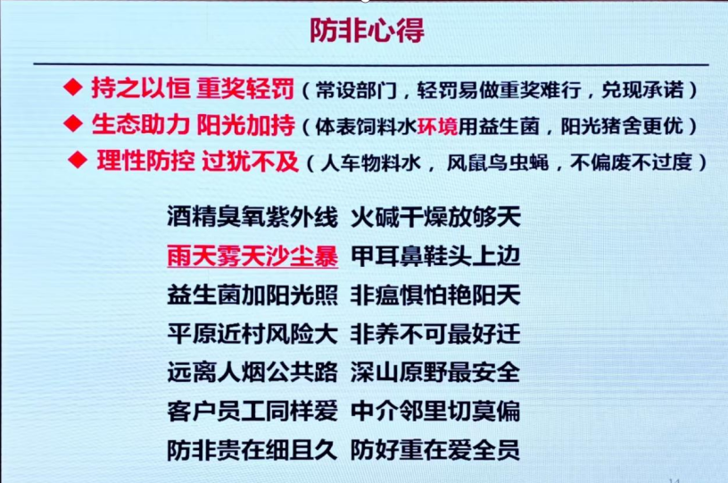 1767596128677019.png ae3856e806a4c313a9bc83206ac3a22b.png